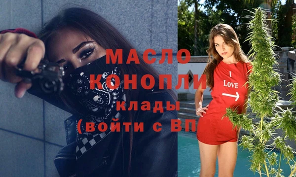 гашик Ладушкин