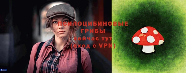 тгк Абаза