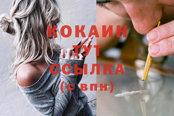 тгк Абаза