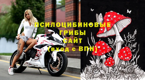 тгк Абаза